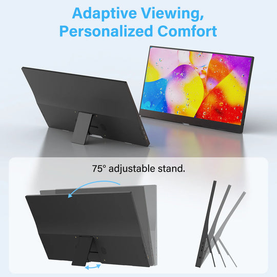 VESA Portable Monitor