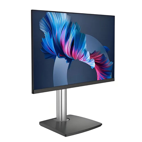 Gaming Monitor