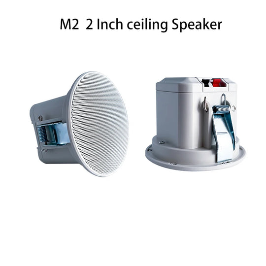 Ceiling Speaker