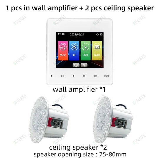 Bluetooth Audio System