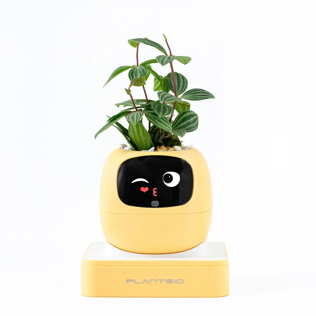 AI Garden Planter