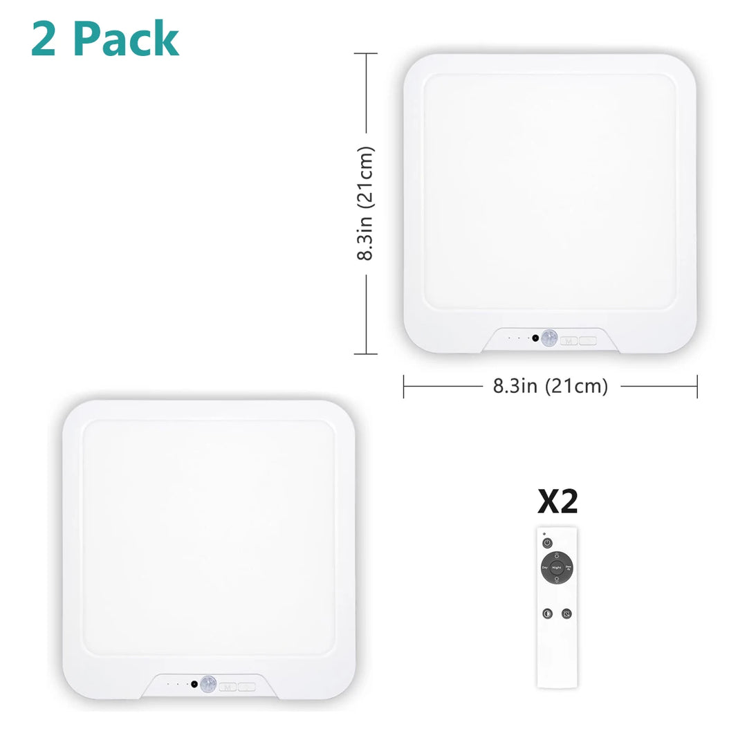 Smart Ceiling Light