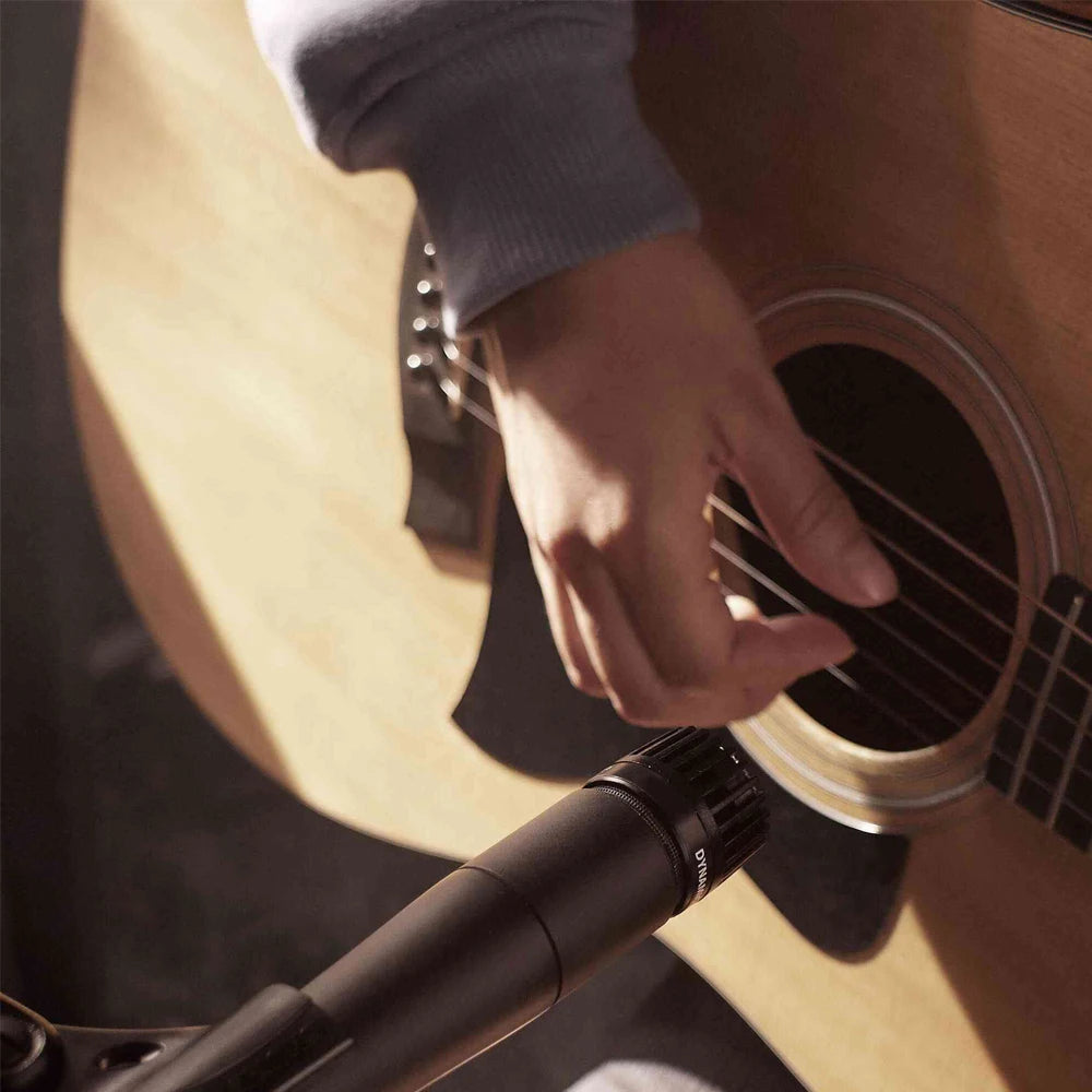 Dynamic Instrument Microphone