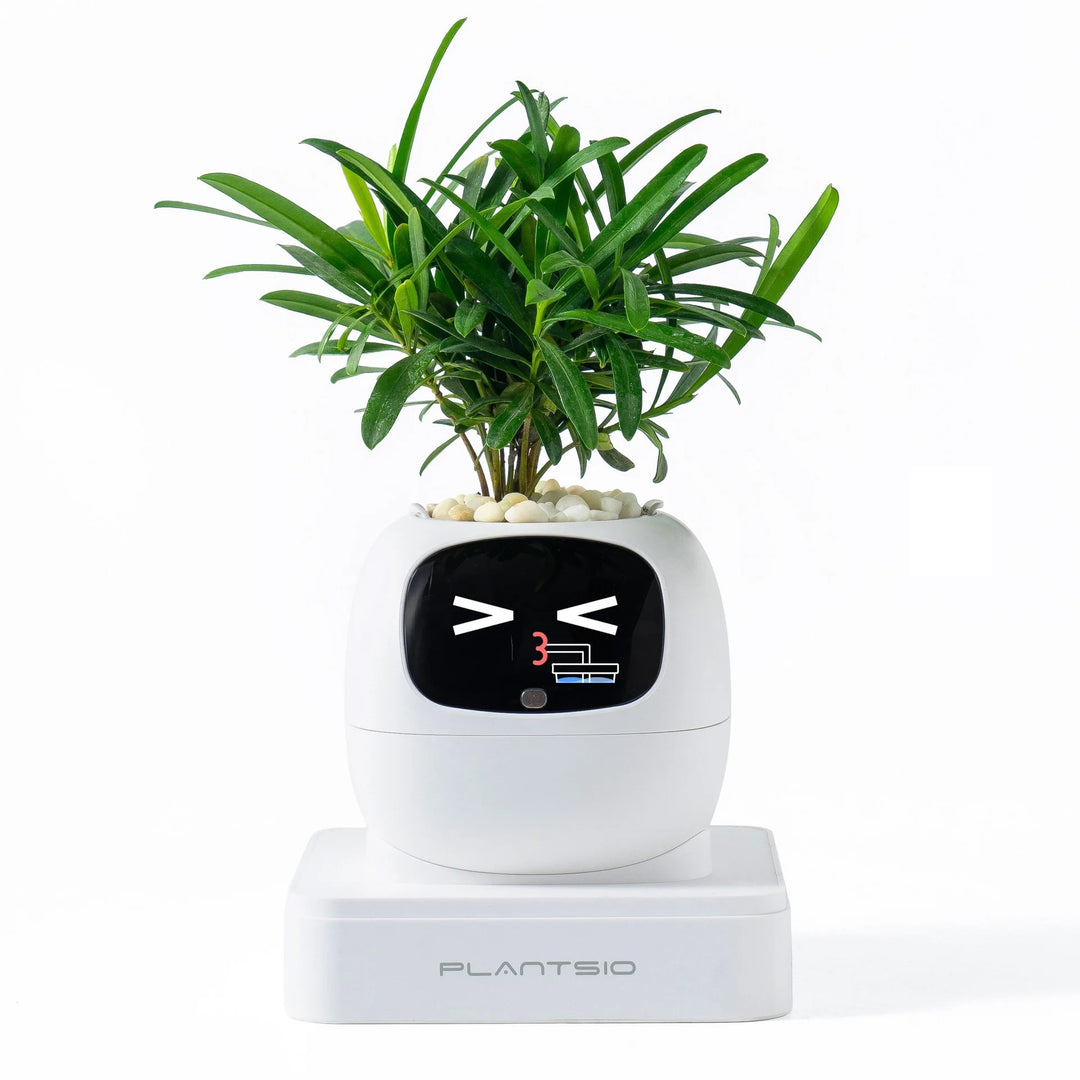 AI Garden Planter