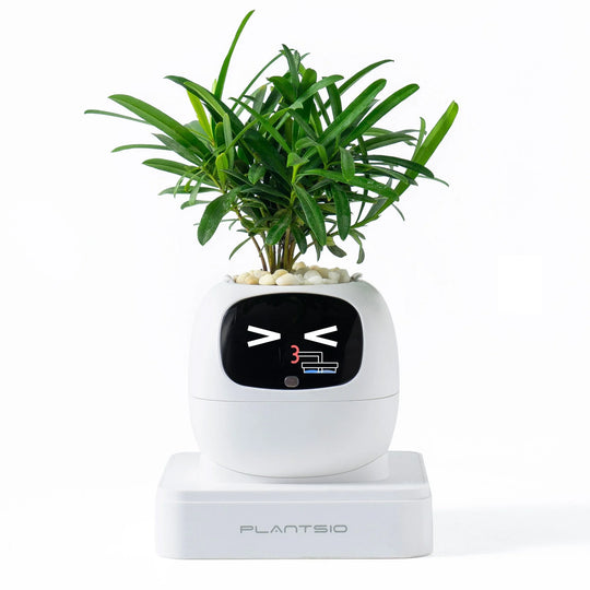 AI Garden Planter