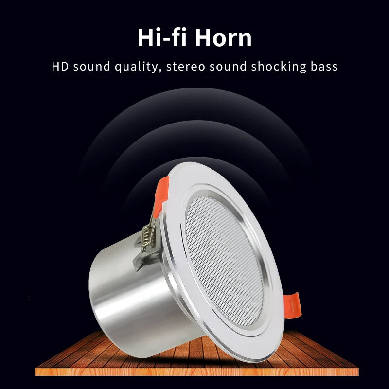Ceiling Speaker System