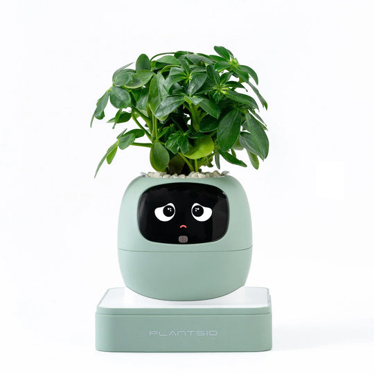 AI Garden Planter