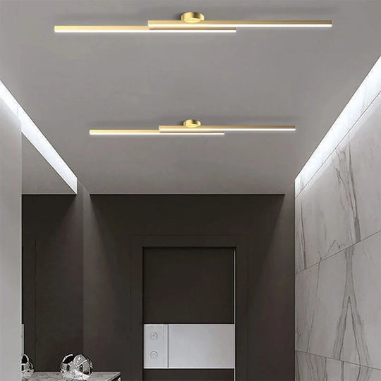 Modern Ceiling Light
