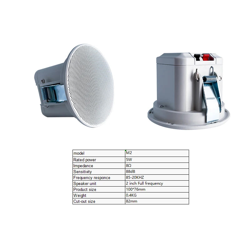 Ceiling Speaker