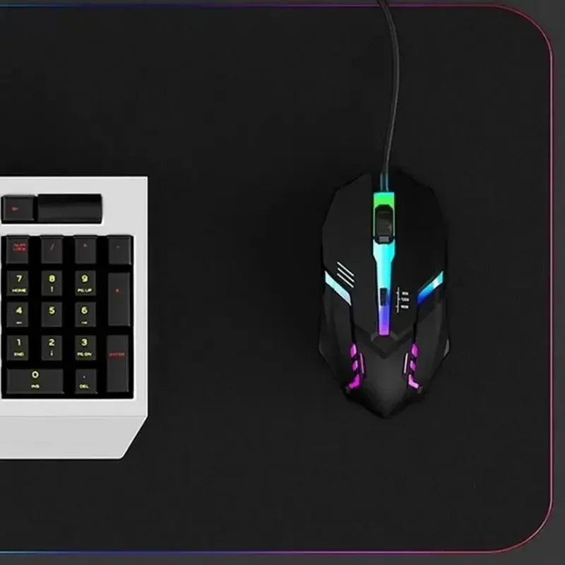 Ergonomic RGB Mouse