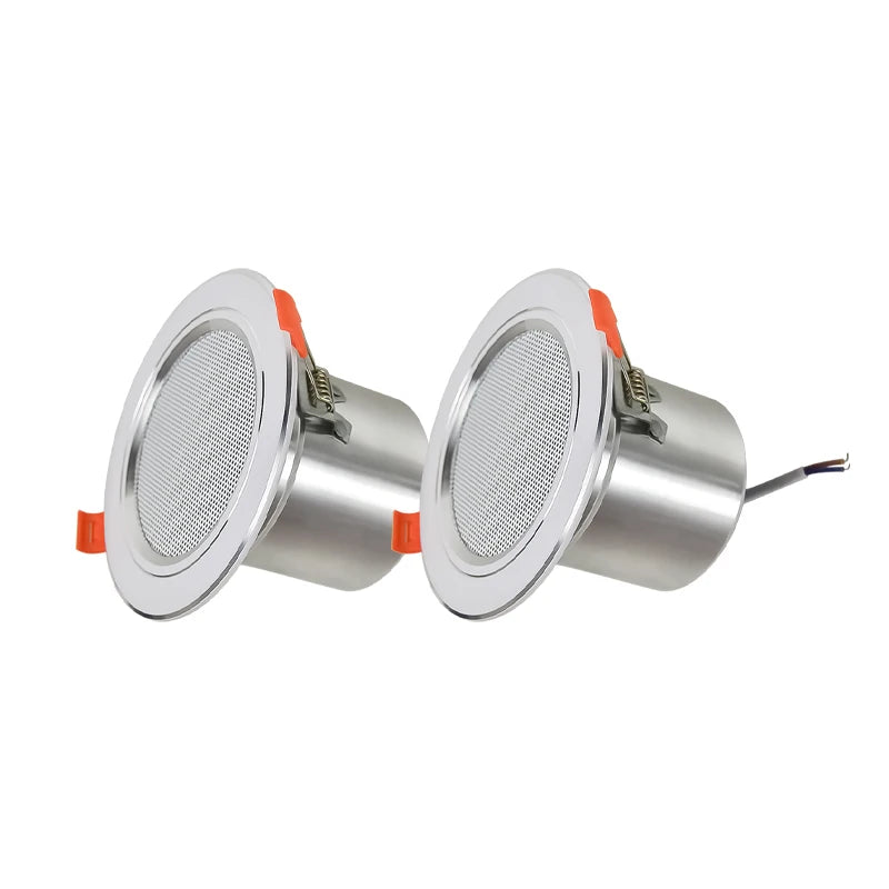 Ceiling Speaker System
