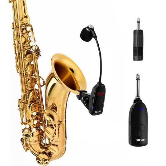 Instrument Microphone