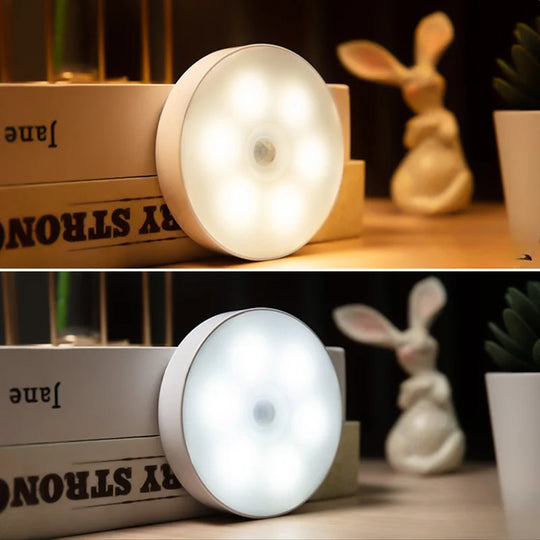 Automatic Night Light