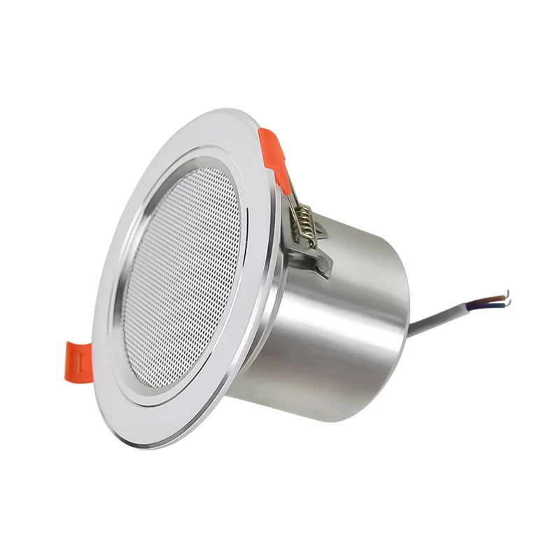 Ceiling Speaker System
