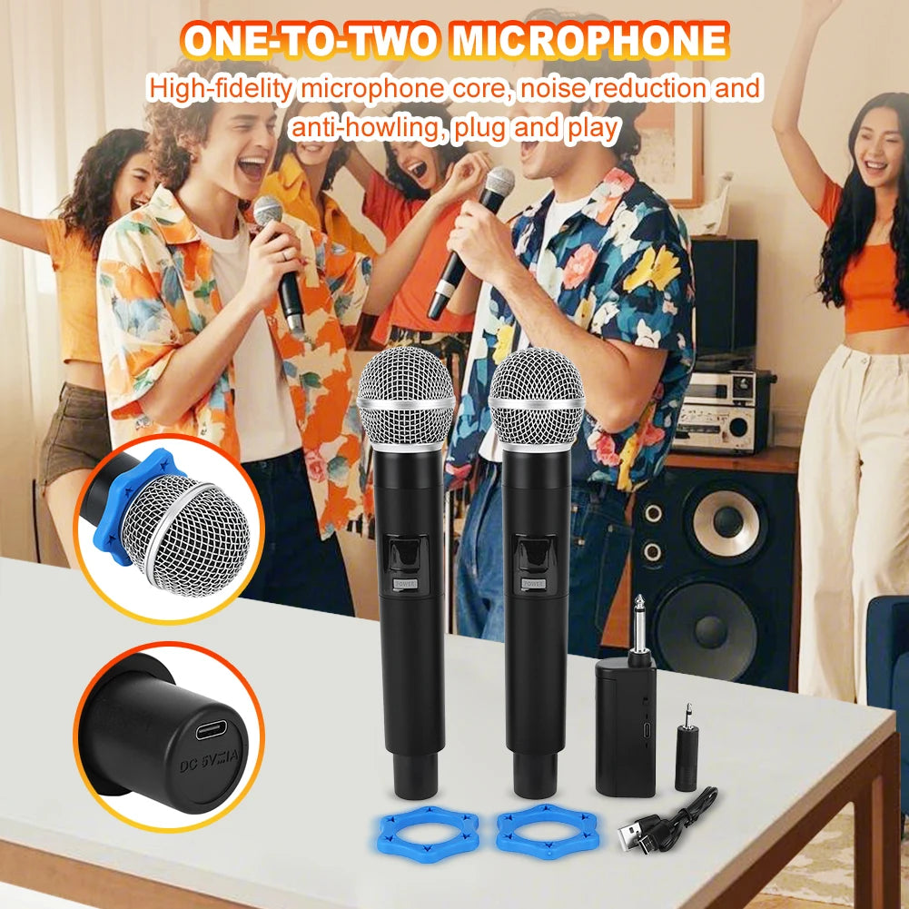 Karaoke Microphone