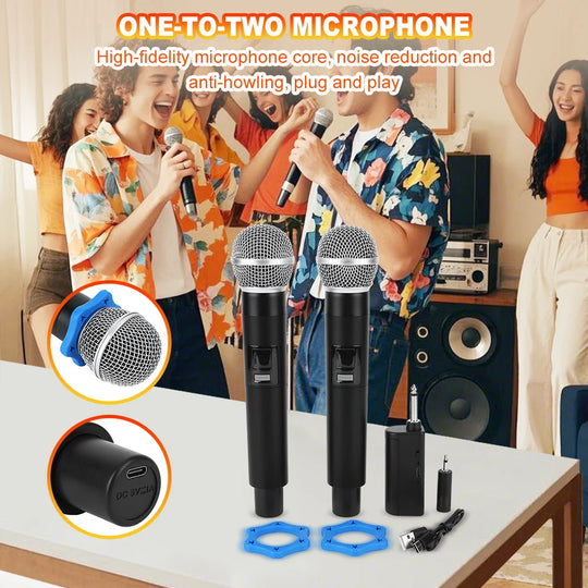 Karaoke Microphone