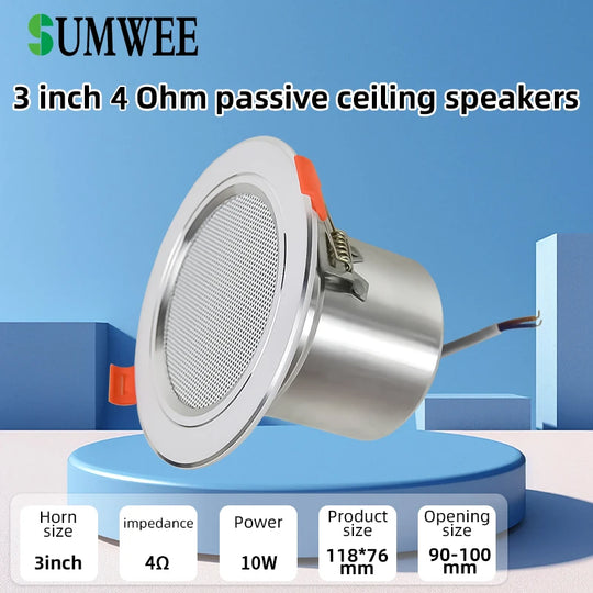 Ceiling Speaker System