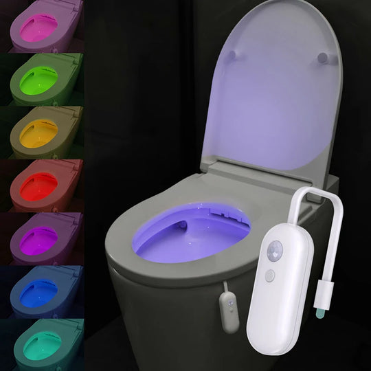 Rechargeable Toilet Light